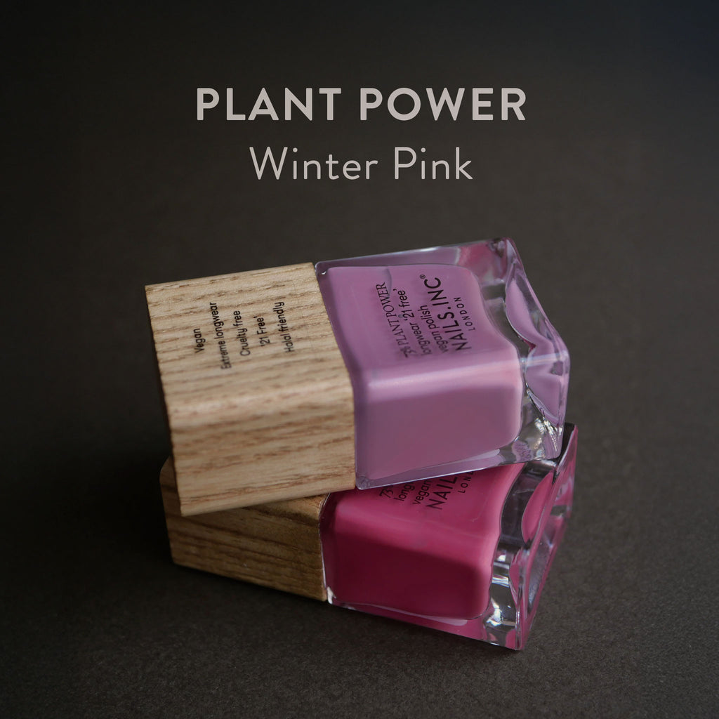 PLANT POWER Winter Pink | 冬におすすめのピンクカラー