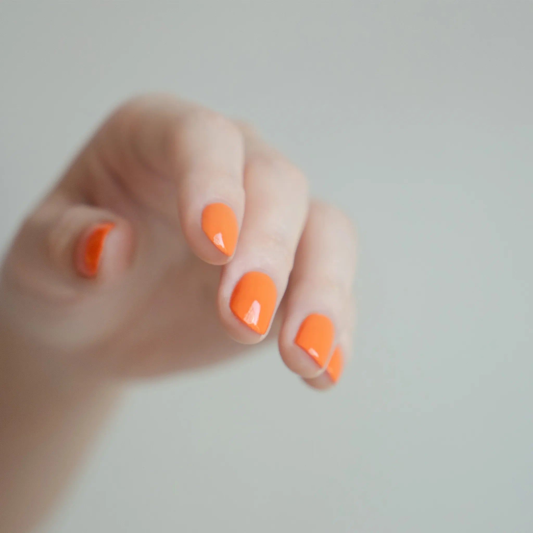 プラント パワー アース デイ エブリ ディ | NAILS INC （ネイルズ