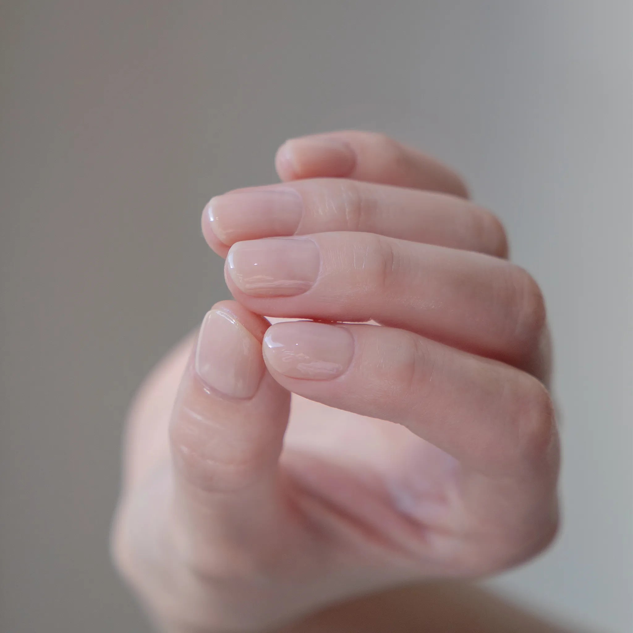 プラント パワー イン マイ オゾン | NAILS INC（ネイルズ