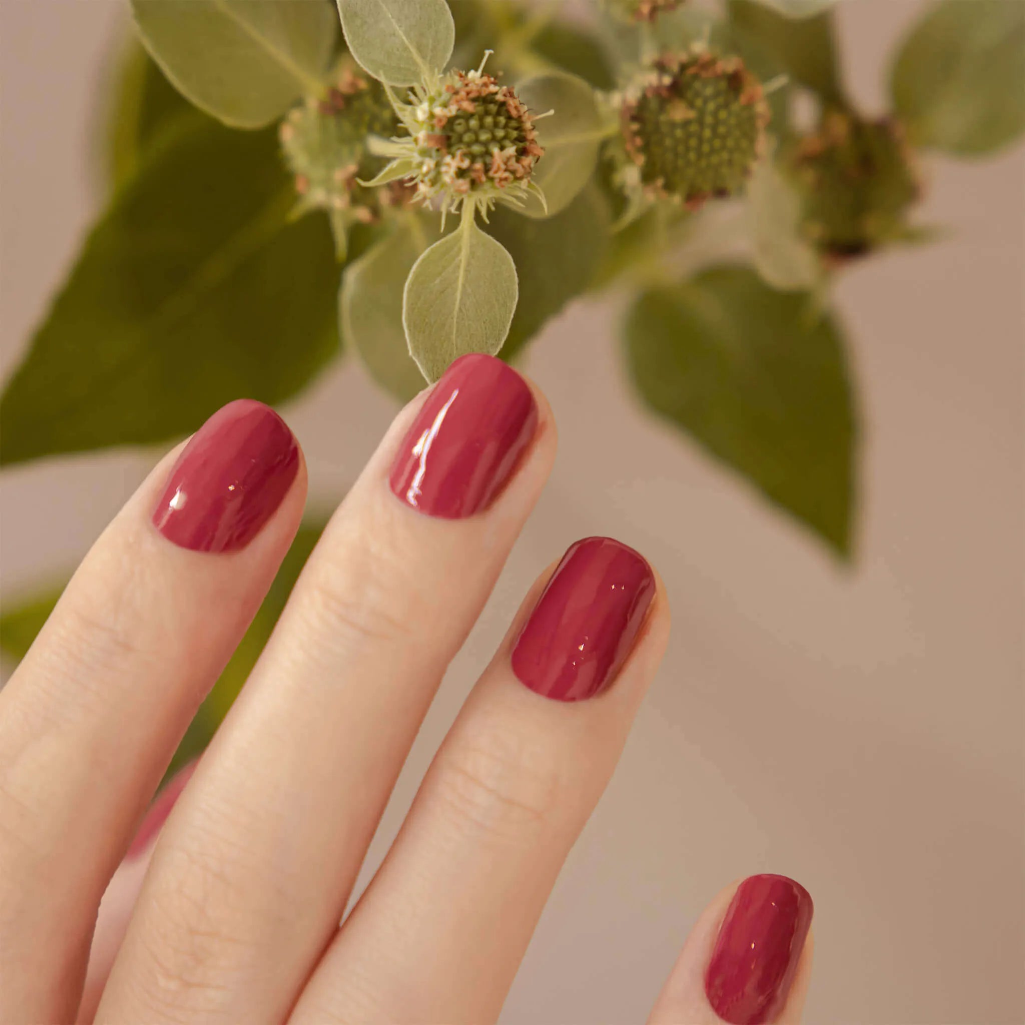 プラント パワー ステイ サスティナブル | NAILS INC （ネイルズ インク）公式オンラインショップ – NAILS INC Japan  official site